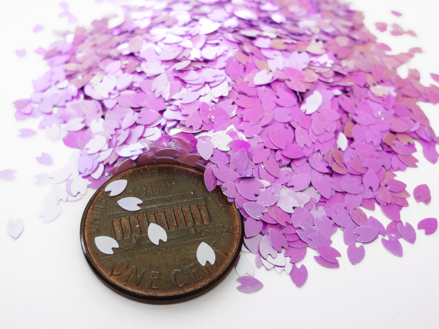 Iridescent Light Magenta Purple Cherry Blossom Sakura Flower Petals, 3x2mm